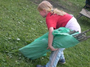 Bild 105