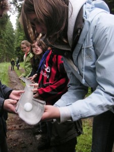 Bild 094